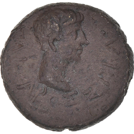 kovanec,
Trakija,
Rhoimetalkes I & Avgust