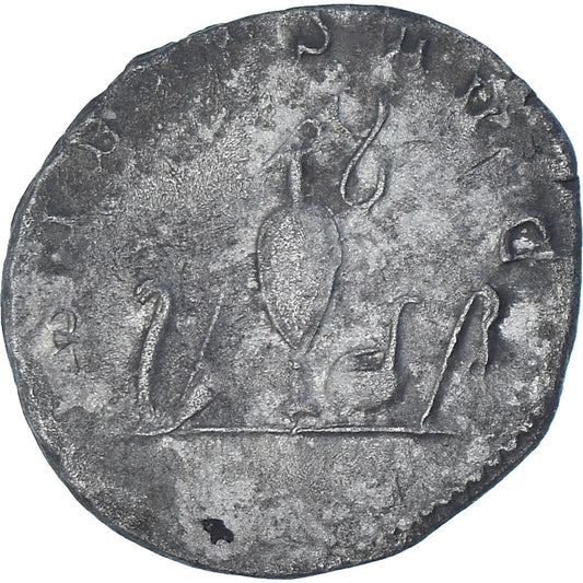 Valerijan II.,
Antoninijan,
256