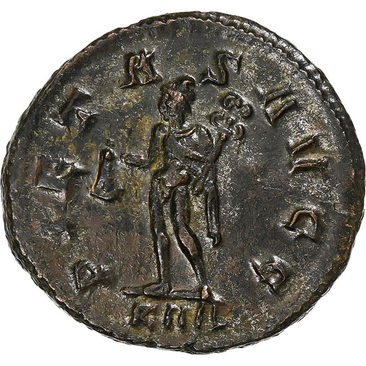 Numerian,
Avrelijan,
283-284