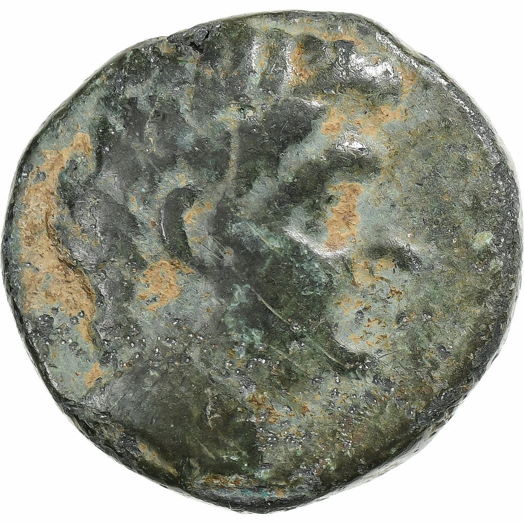 Kilikija,
Pompej "Veliki",
Æ Enota