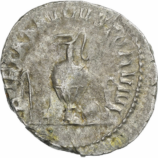 Herennius Etruscus,
Antoninijan,
250-251