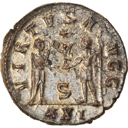 kovanec,
Carinus,
Avrelijan