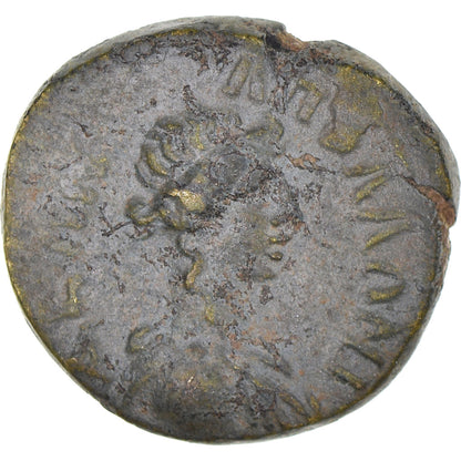 kovanec, 
  
  Lidija, 
  
  Psevdo-avtonomni