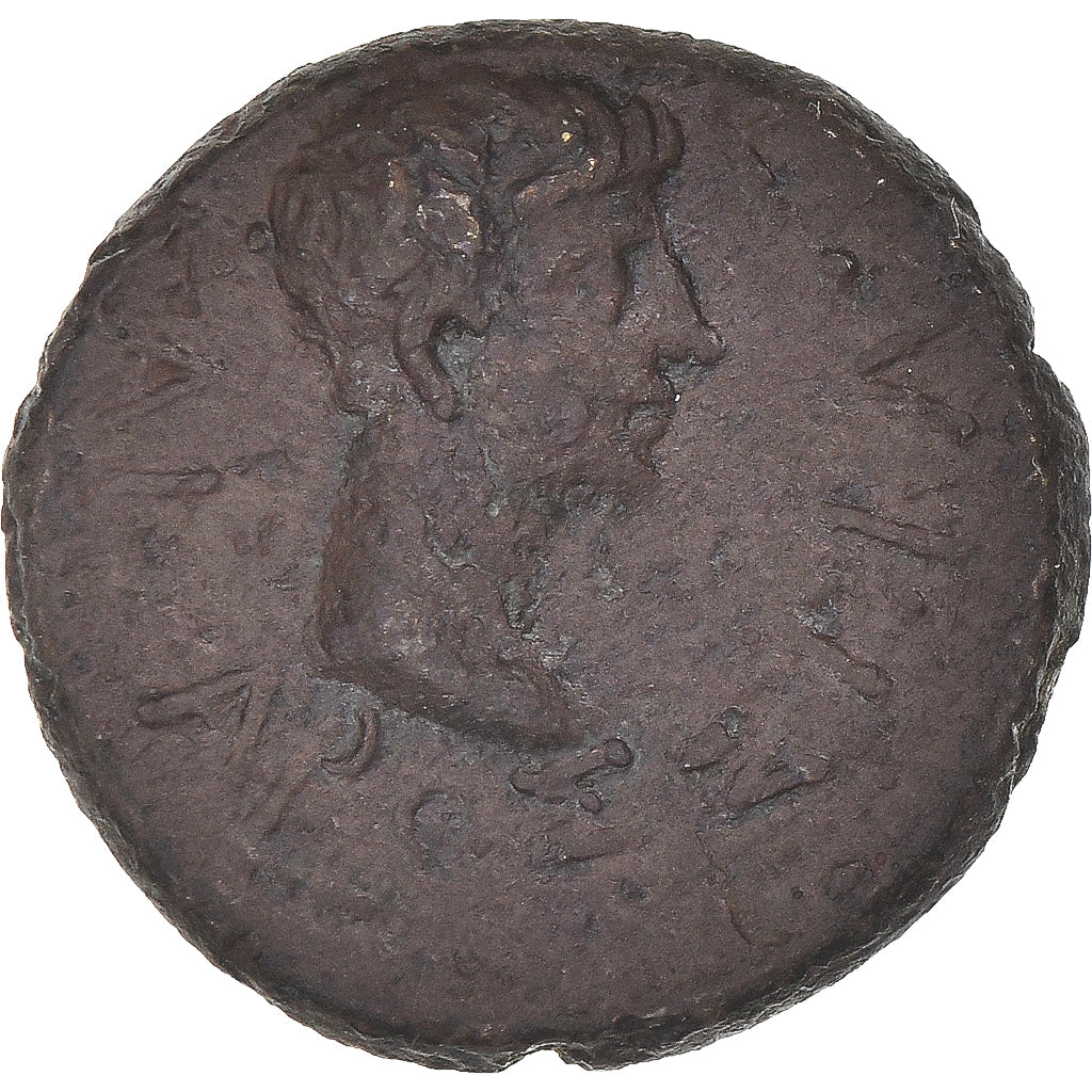 kovanec, 
  
  Trakija, 
  
  Rhoimetalkes I & Avgust