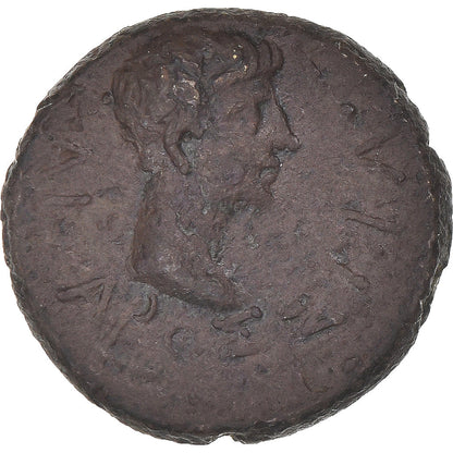 kovanec, 
  
  Trakija, 
  
  Rhoimetalkes I & Avgust