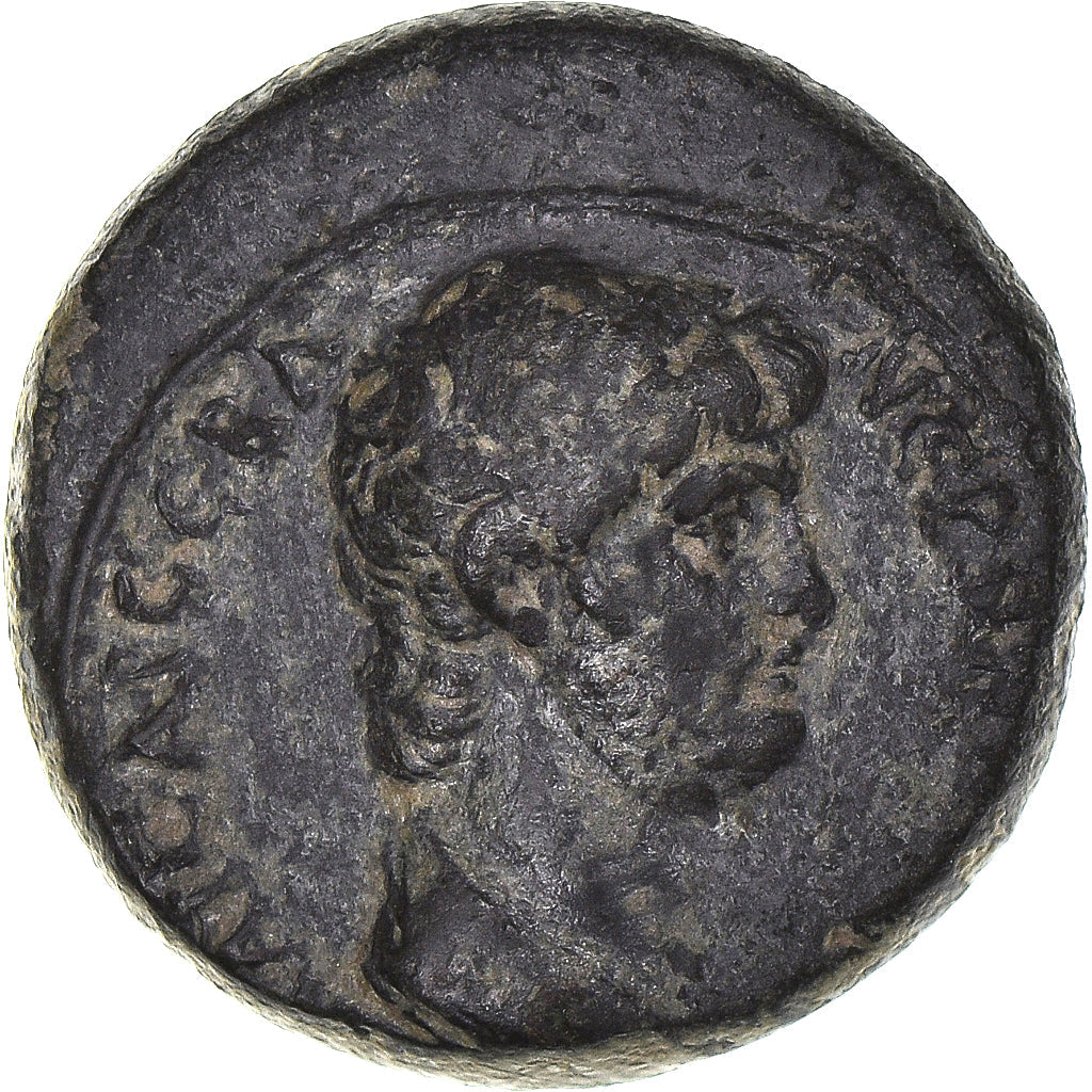 kovanec, 
  
  Lidija, 
  
  Nero