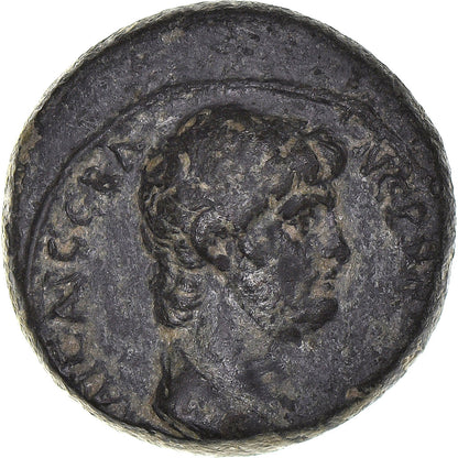 kovanec, 
  
  Lidija, 
  
  Nero