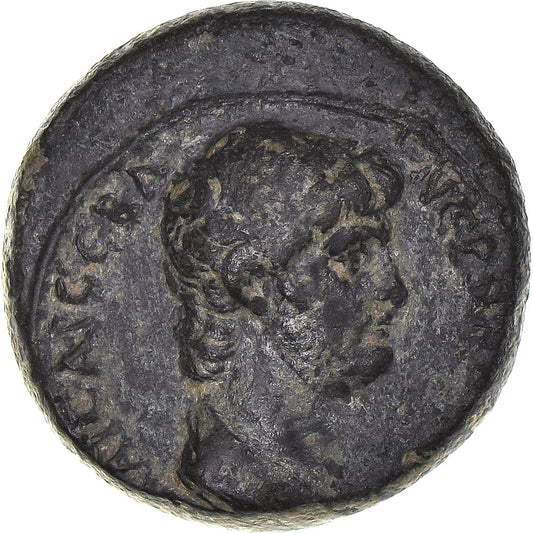 kovanec, 
  
  Lidija, 
  
  Nero