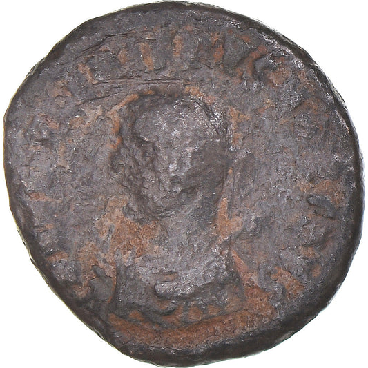 kovanec, 
  
  Krisp, 
  
  Follis