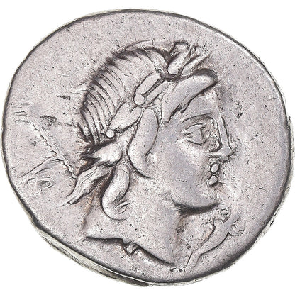 kovanec, 
  
  Crepusia, 
  
  Denarius