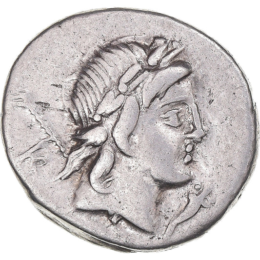 kovanec, 
  
  Crepusia, 
  
  Denarius