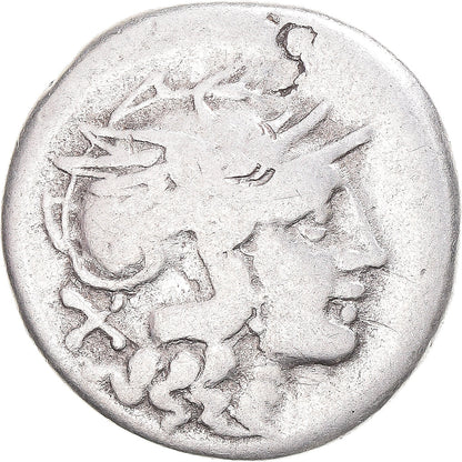 kovanec, 
  
  Furia, 
  
  Denarius
