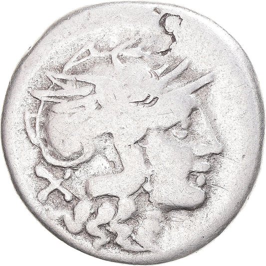 kovanec, 
  
  Furia, 
  
  Denarius