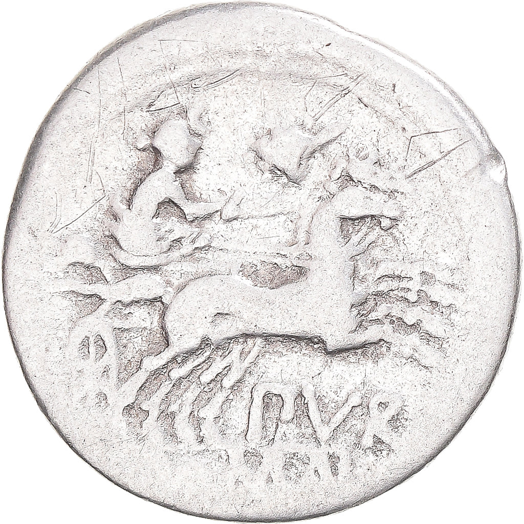 kovanec, 
  
  Furia, 
  
  Denarius