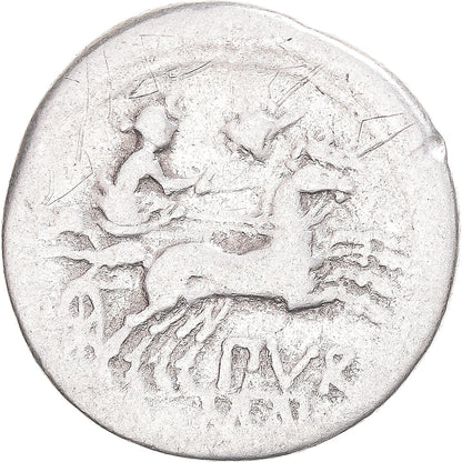 kovanec, 
  
  Furia, 
  
  Denarius