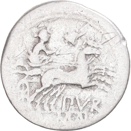kovanec, 
  
  Furia, 
  
  Denarius