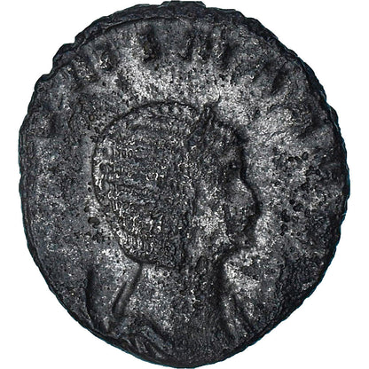 Salonina, 
  
  Antoninijan, 
  
  260-268