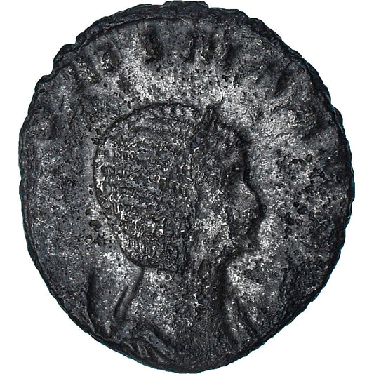 Salonina, 
  
  Antoninijan, 
  
  260-268
