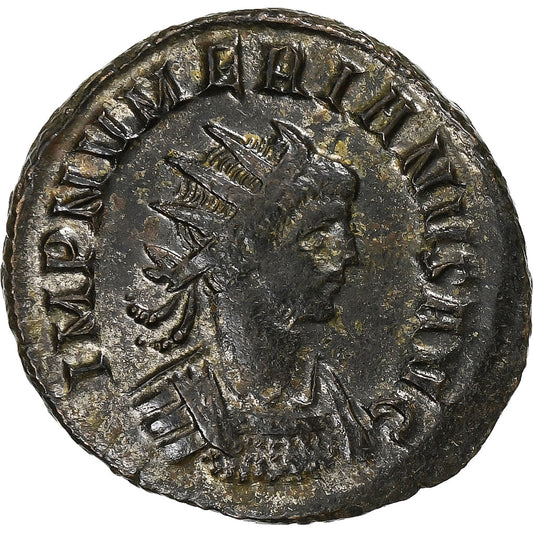 Numerian, 
  
  Avrelijan, 
  
  283-284