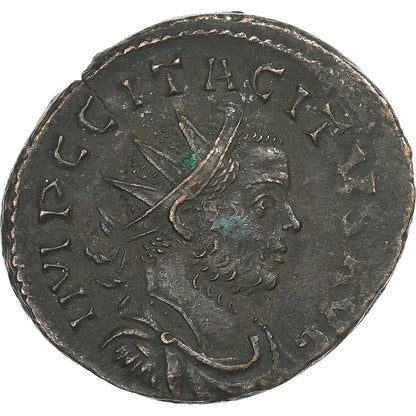 Tacit, 
  
  Antoninijan, 
  
  275