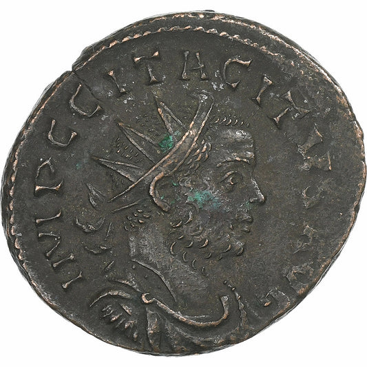 Tacit, 
  
  Antoninijan, 
  
  275