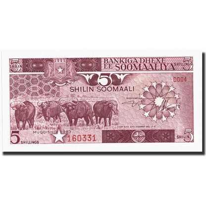 bankovec, 
  
  Somalija, 
  
  5 šilin = 5 šilingov