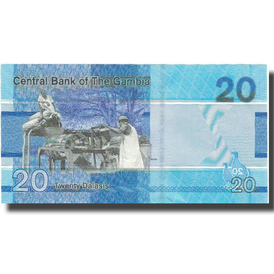 bankovec, 
  
  Gambija, 
  
  20 Dalasis