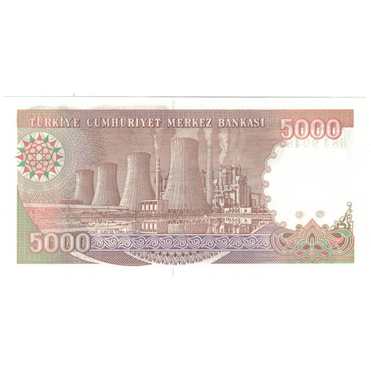 bankovec, 
  
  Turčija, 
  
  5000 lir