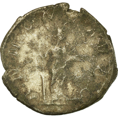 kovanec, 
  
  Trebonianus Gallus, 
  
  Antoninijan