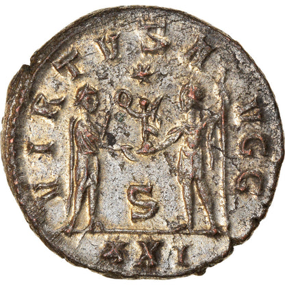 kovanec, 
  
  Carinus, 
  
  Avrelijan