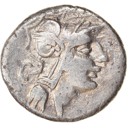 kovanec, 
  
  Junija, 
  
  Denarius