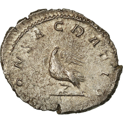 kovanec, 
  
  Valerijan II., 
  
  Antoninijan